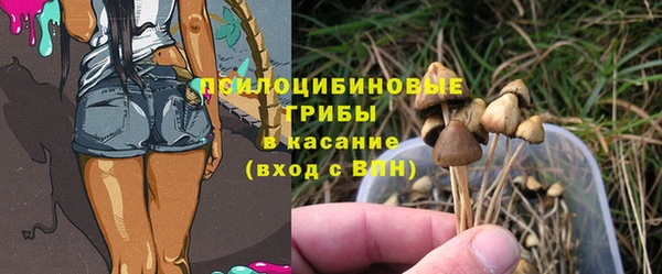 ECSTASY Богородицк